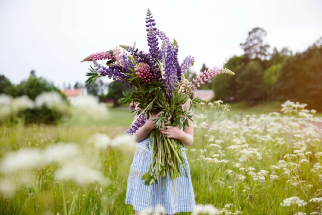 En jente holder en stor blomsterbukett i armene i en blomstereng